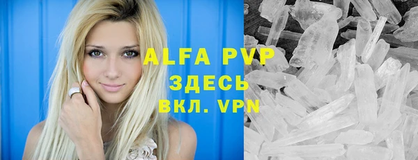 a pvp Бородино