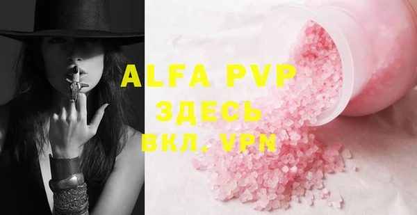 a pvp Бородино