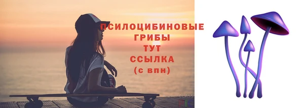 гидропоника Бугульма