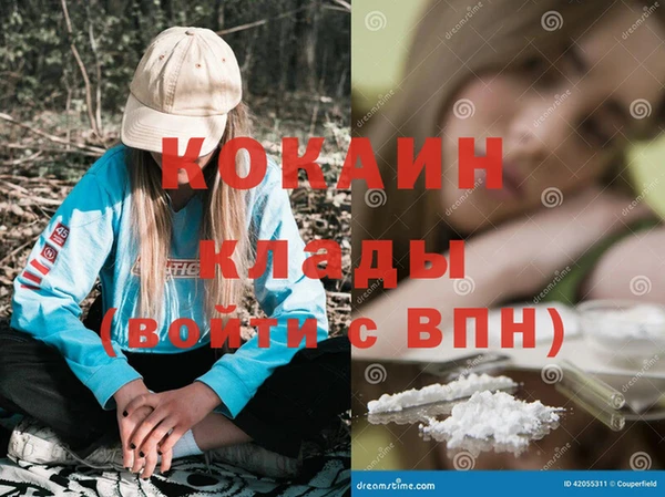 a pvp Бородино