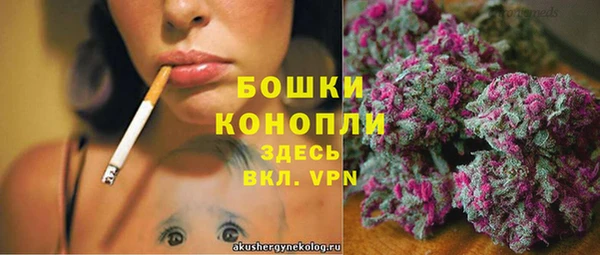 a pvp Бородино