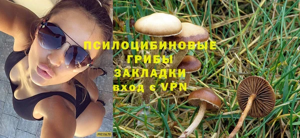 a pvp Бородино