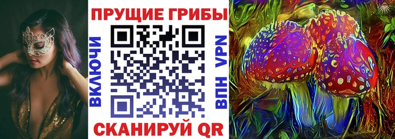 Галлюциногенные грибы Cubensis  Междуреченск 