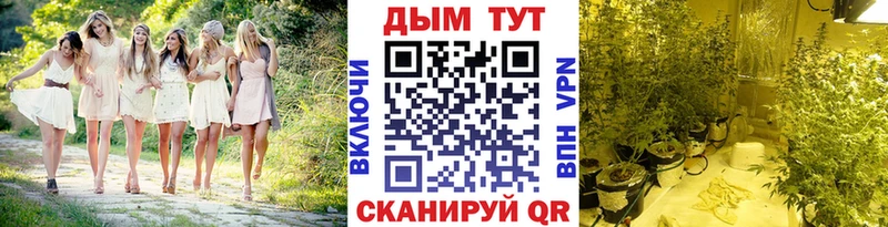 где продают наркотики mega ссылки Каннабис конопля Междуреченск